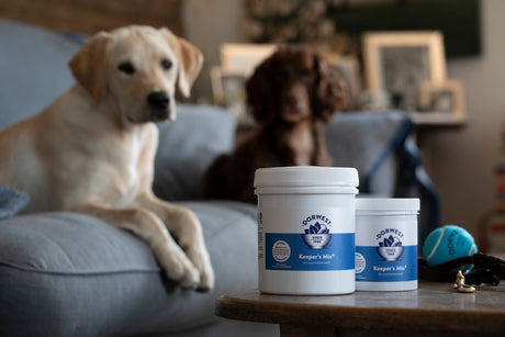 What are the benefits of Keeper's Mix® for dogs?