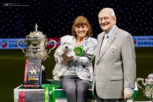 Want to know more about grooming dogs? Meet Marie & Devon, Crufts Best In Show winner 2016!