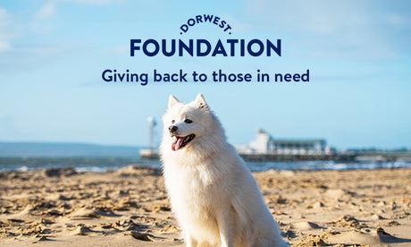 Dorwest Herbs Foundation donates £8000 to animal charities