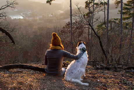 National Love Your Pet Day - 4 Reasons To Love Dogs