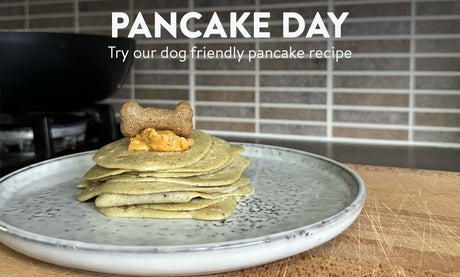 Dog-friendly pancake recipe!