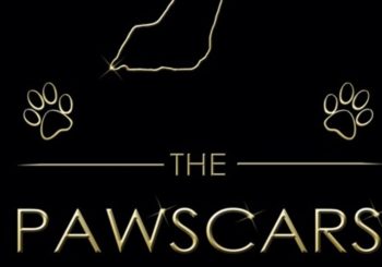 Pawscars ‘Exhibitor of the Year’ Nominees 2019