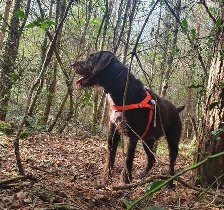 One big game of life-saving hide &amp; seek!