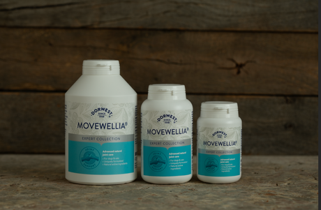 MoveWellia® named best overall joint supplement by Evening Standard!