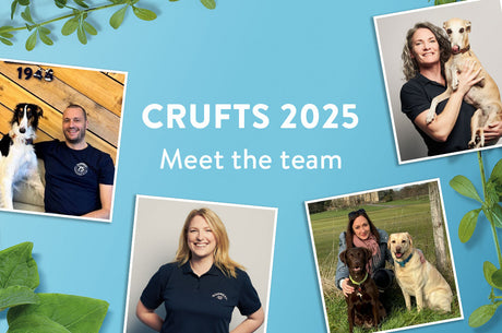 Crufts 2025: Meet the team!