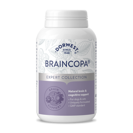 BrainCopa® Tablets For Dogs & Cats