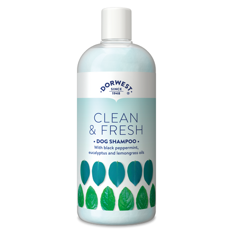 Clean & Fresh Shampoo For Dogs