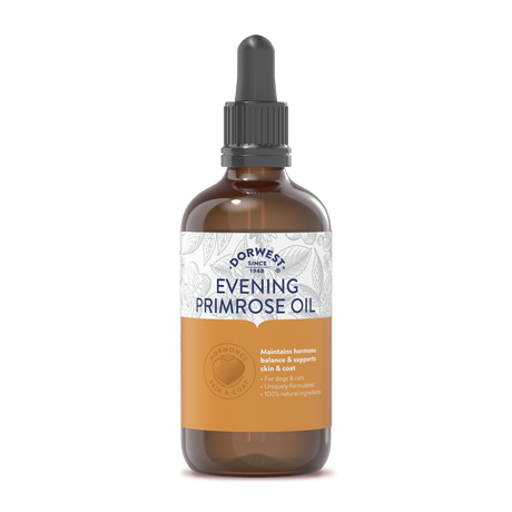 Evening Primrose Oil Liquid For Dogs And Cats