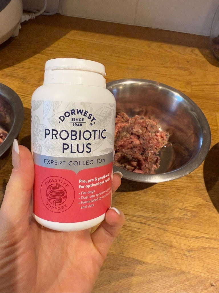 Probiotic Plus for Dogs