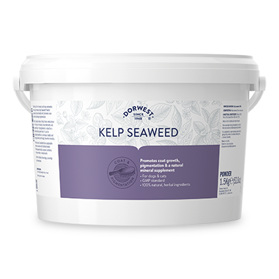 Kelp Seaweed Powder For Dogs And Cats