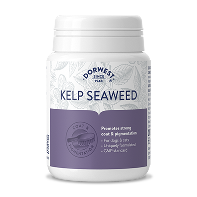 Kelp Seaweed Tablets For Dogs And Cats