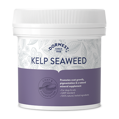 Kelp Seaweed Powder for Dogs Cats Dorwest Herbs