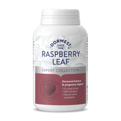 Raspberry Leaf Tablets For Dogs And Cats