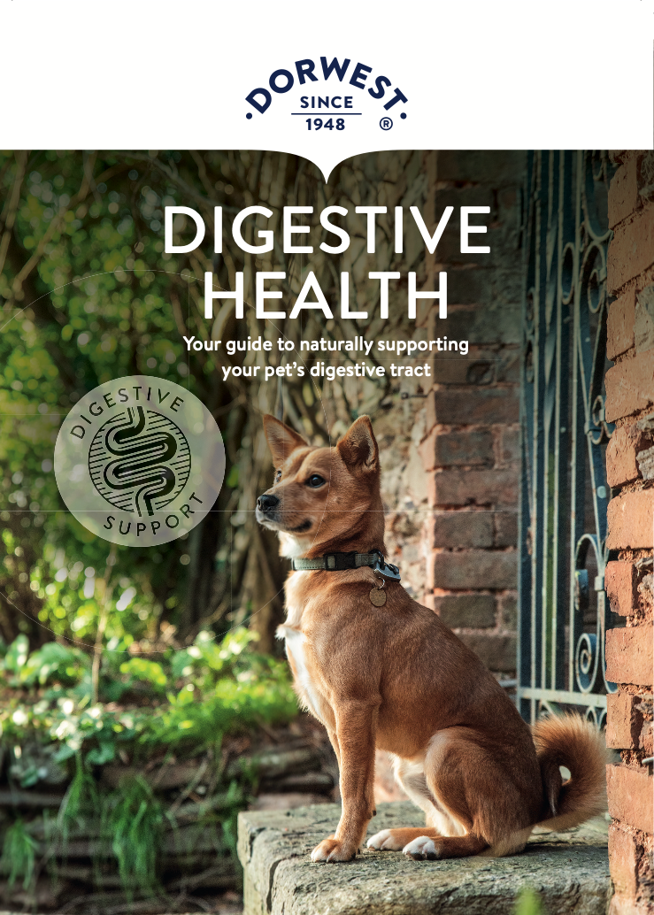 Digestive Health Leaflet