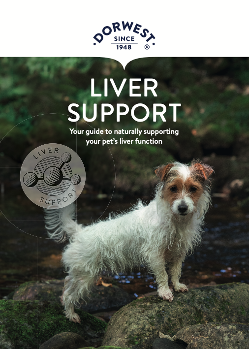 Liver Support Leaflet