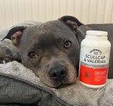 Scullcap & Valerian Tablets For Dogs And Cats