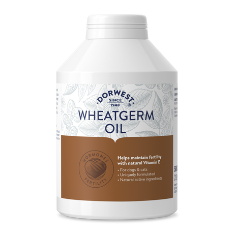 Wheatgerm Oil Capsules For Dogs And Cats