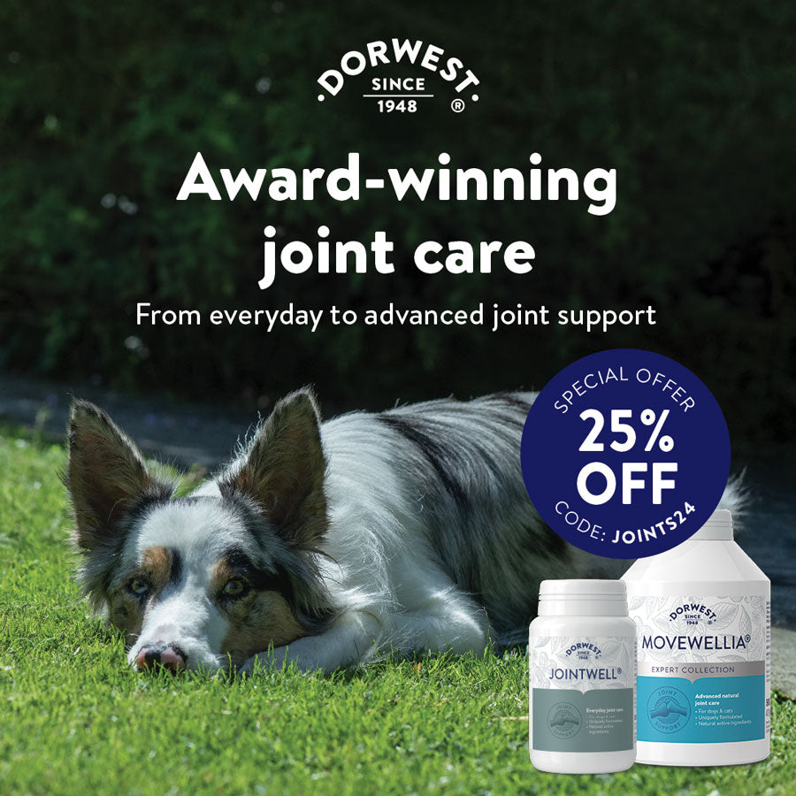 Dorwest Herbs Herbal Remedies Supplements for Dogs Cats