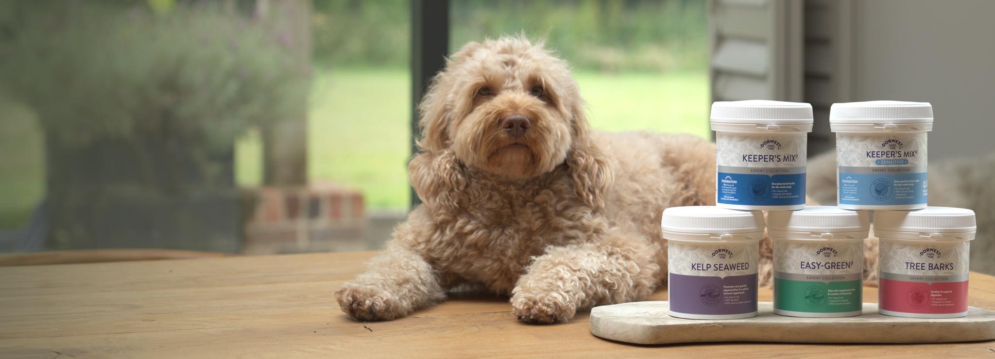 Herbal remedies for dogs uk hotsell