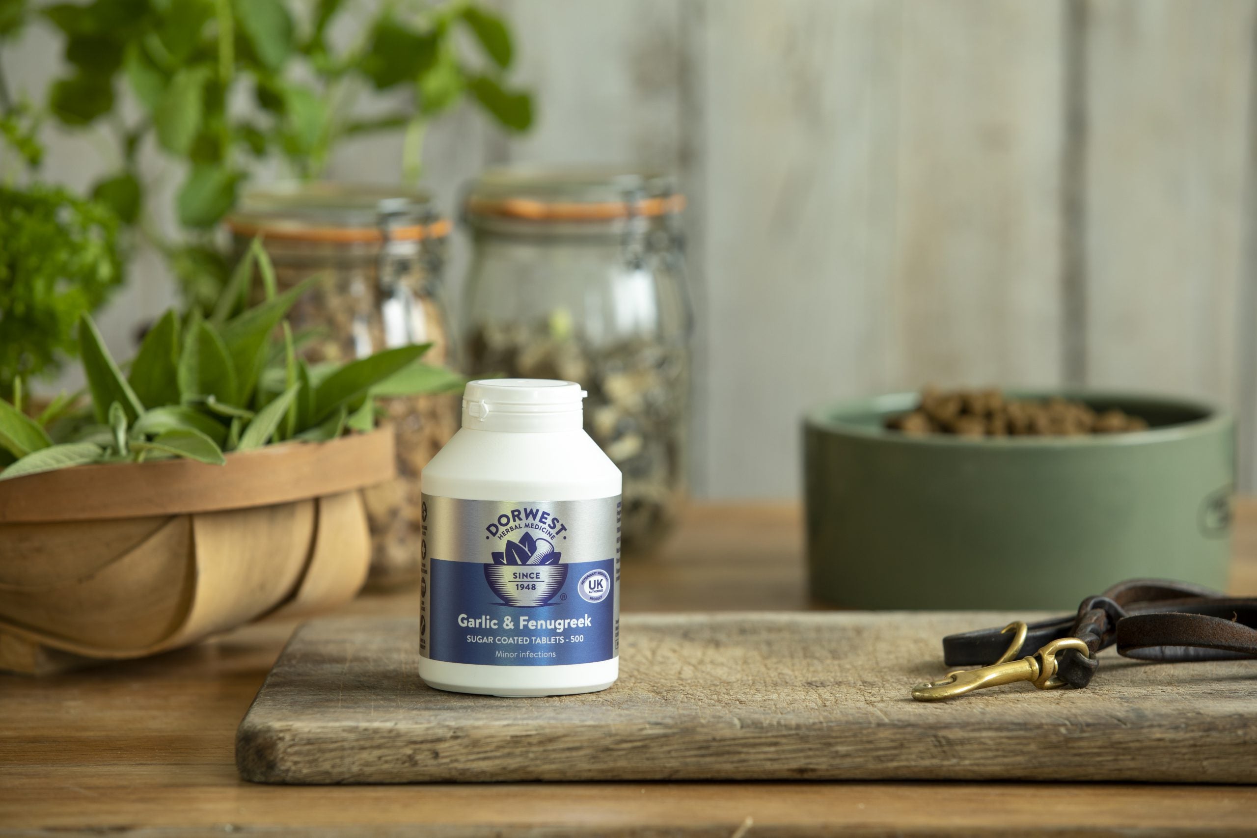 The Benefits of Garlic & Fenugreek Tablets For Your Dog