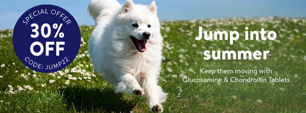 can glucosamine kill a dog